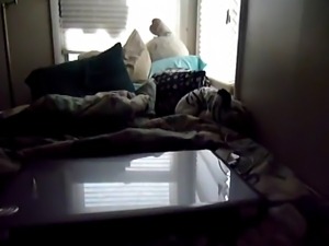 Fat girl masturbating on her bed